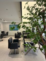 -付军剪艺JF ProSalon