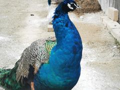 -韶关经律论国际酒店温泉