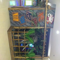 android_upload_pic-卡通尼·Safari非洲探索乐园·生日会(金桥国际商业广场店)