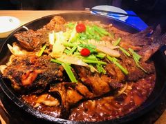 老板恋上鱼-老板恋上鱼(恒隆广场店)