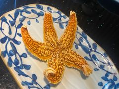 -真剑日本料理·铁板烧(贵州路店)