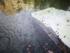 -盛泰恐龙谷温泉