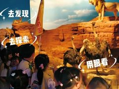 -金豆子幼稚园