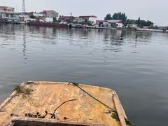 -白洋淀景区