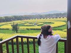 -苏州太湖西山岛开心农场