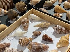 -摩登百货(岗顶店)