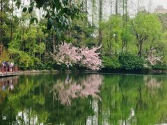 -棠湖公园