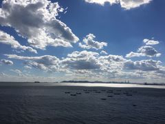 -渔公码头·九龙湾国际饭店
