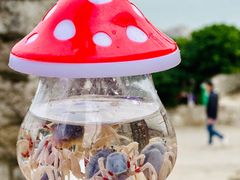 -花开富贵平潭海鲜楼(平潭店)