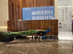 -西双版纳融创皇冠假日度假酒店