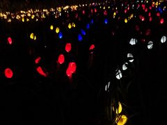 -怡海公园(桂城街道)