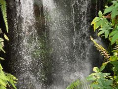 -华南国家植物园-售票处