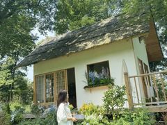 -成都保利公园皇冠假日酒店(熊猫基地店)