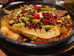 老板恋上鱼-老板恋上鱼(高新万达店)