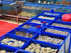 -双月饭店·20年老字号(新村店)