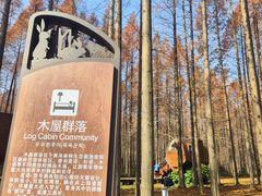 -黄海国家森林公园