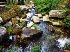 -苍山感通索道