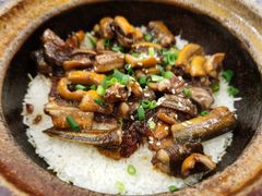 -红星光发煲仔饭(大石街店)