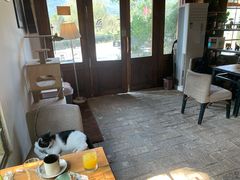 -村上春树