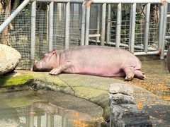 -宁波野生动物园