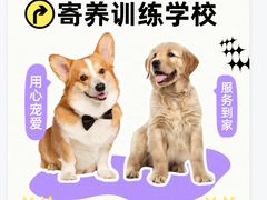 -宠物寄养训练学校