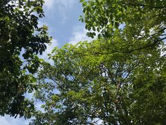 -江门恒大泉都