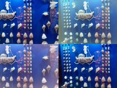 -苏州海洋馆