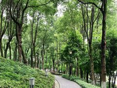 -重庆市江北嘴中央商务区中央公园