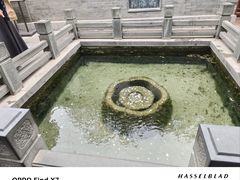 -趵突泉景区
