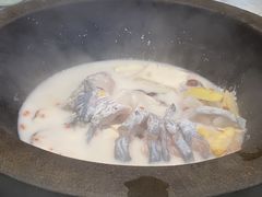 -鲜潭蒸汽石锅鱼(五道口购物中心店)