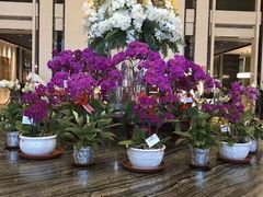 -富力希尔顿酒店·地阔自助餐厅