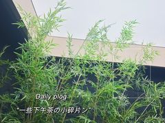 -宫七SPA·高端Massage(浦东大道店)