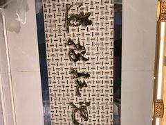 -川道拐耗儿鱼(旗舰店)