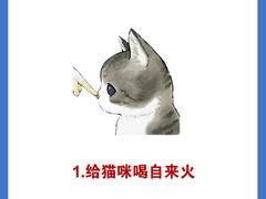 -东方名猫馆·英短金渐层布偶猫舍(环线广场1号楼店)