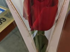 -悦海·家宴·冰花皮皮虾大锅贴(宝龙店)