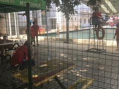 -牡丹游泳馆(金山馆)