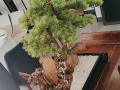 -顺峰(农展馆店)