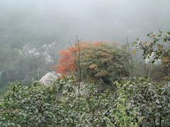 -秦岭终南山世界地质公园翠华山景区