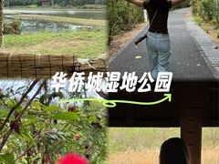 -华侨城湿地公园