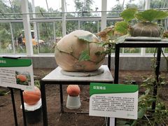 -黄龙溪欢乐田园