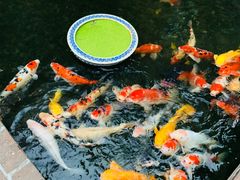 -馨园villa融合菜(东山店)