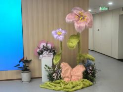 -上海伊莱美医疗美容医院