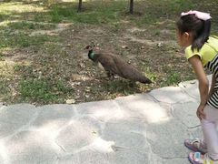 -北京麋鹿生态实验中心