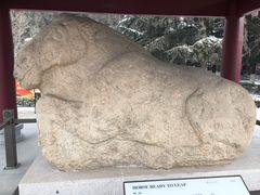 -茂陵博物馆