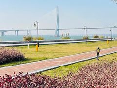 -芒洲湿地公园