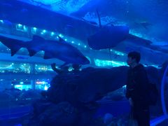 -成都浩海立方海洋公园