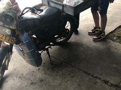 -老杨砂锅鱼庄