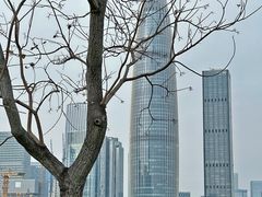 -深圳人才公园
