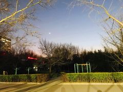 -莲花池公园