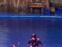 -华夏文旅海洋公园